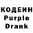 ГАШ VHQ Kamila Protsenko
