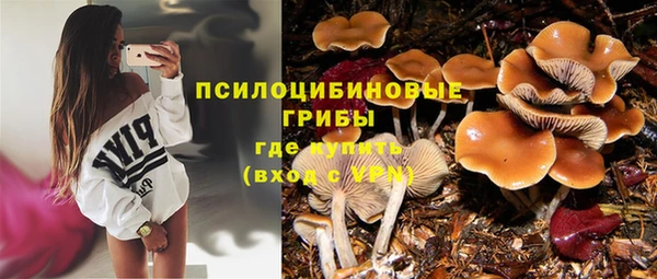 дурь Абаза